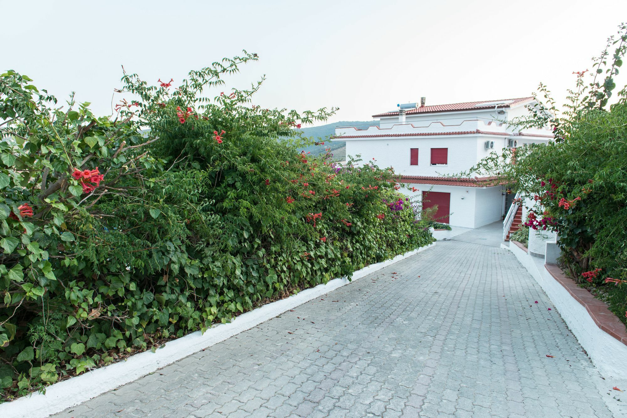 Villa Milena Agropoli Extérieur photo